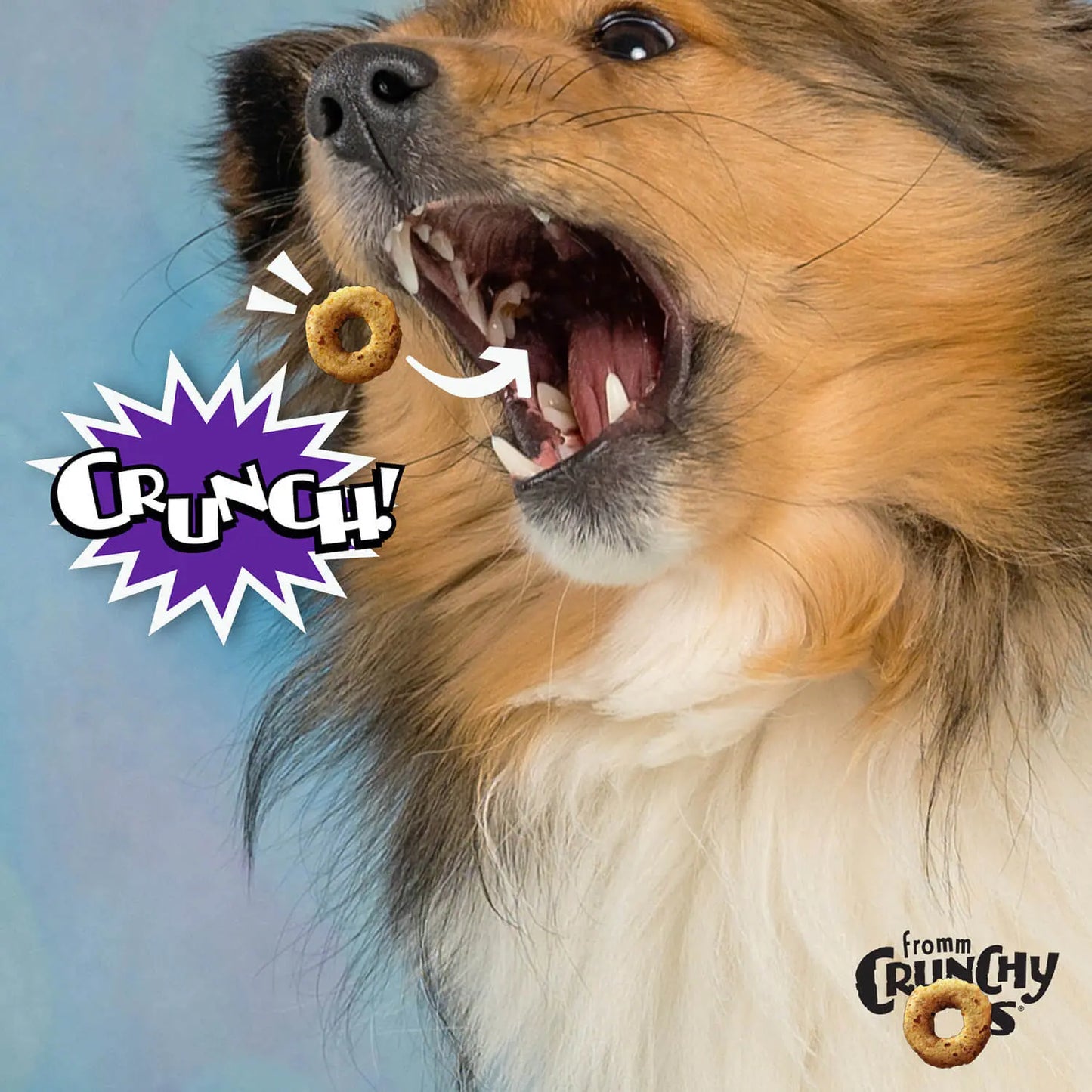 Fromm Crunchy O's Dog Smokin' CheesePlosions Flavor Treats 6 oz Fromm