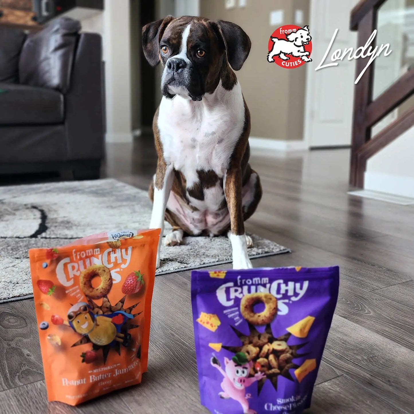 Fromm Crunchy O's Dog Smokin' CheesePlosions Flavor Treats 6 oz Fromm