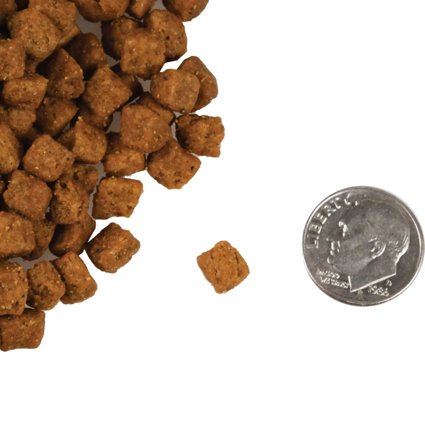 Fromm Four Star Beef & Vegetable Livattini Cat Dry Food Fromm