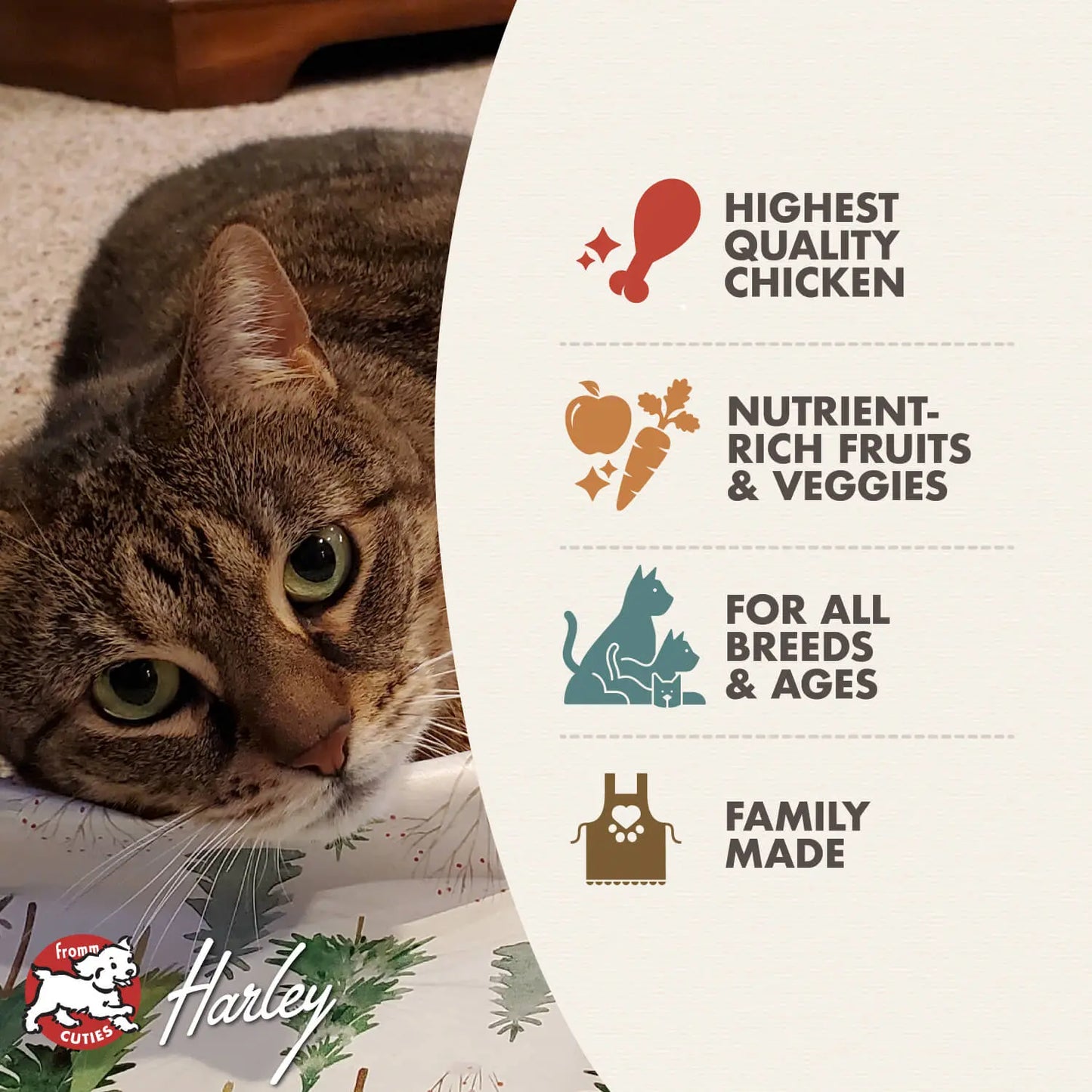 Fromm Four Star Chicken Au Frommage Cat Food Fromm