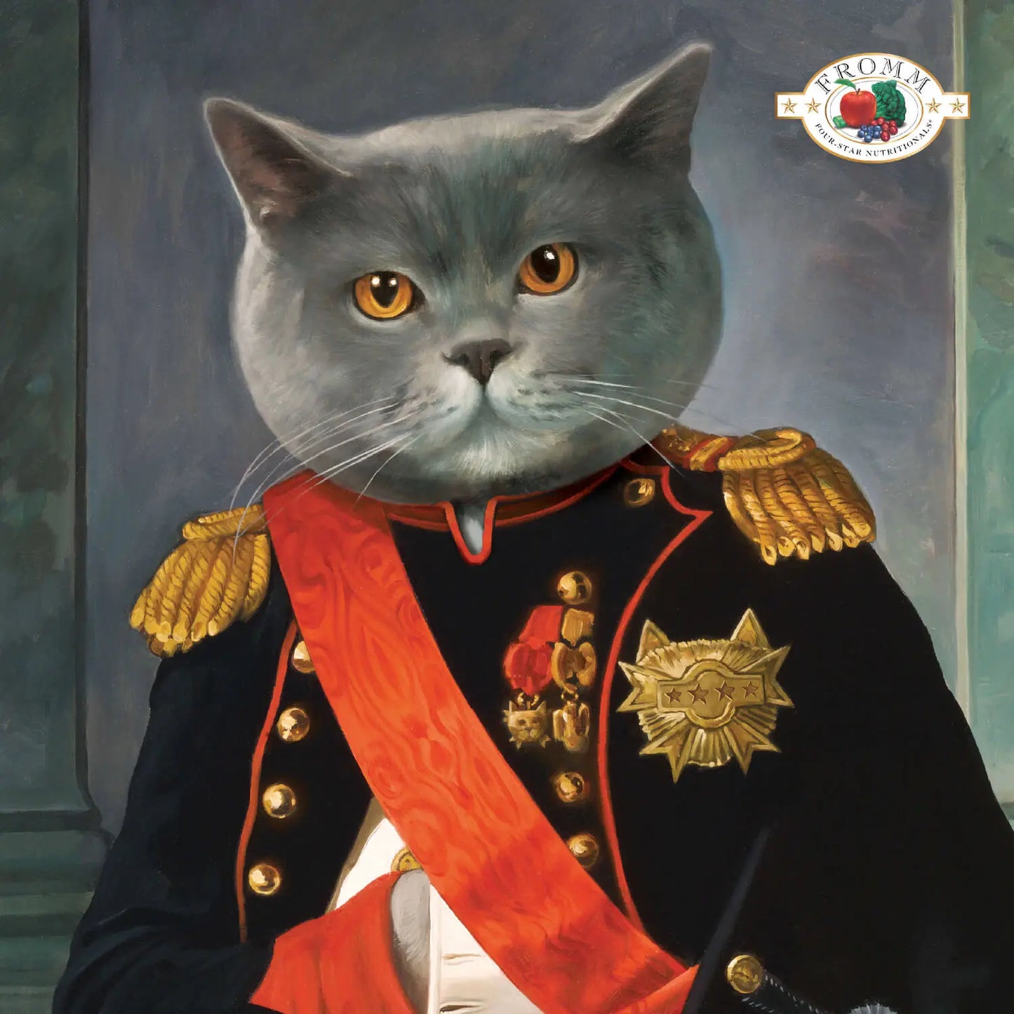 Fromm Four Star Chicken Au Frommage Cat Food Fromm