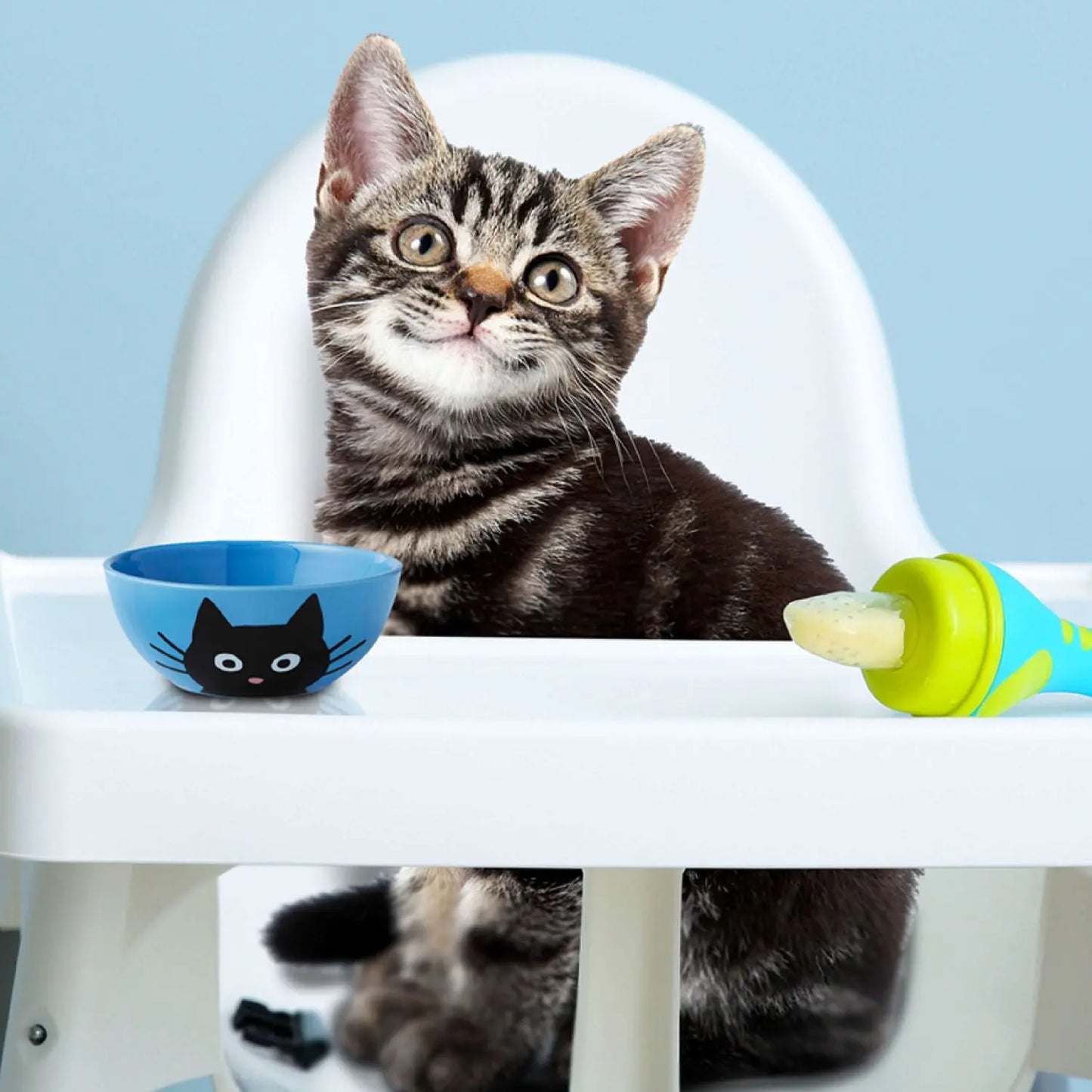 Fromm Kitten Gold Food for Cats Fromm