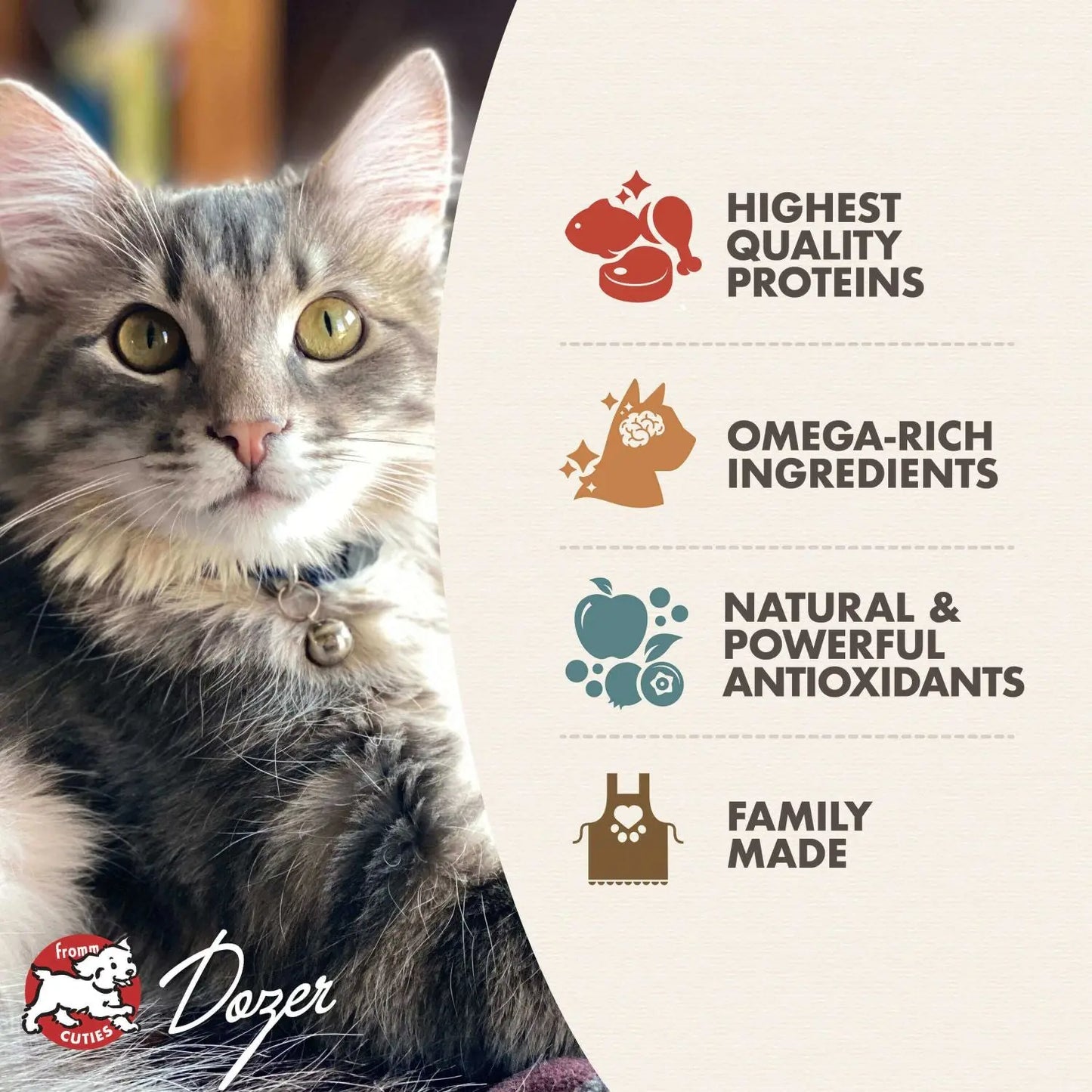 Fromm Kitten Gold Food for Cats Fromm