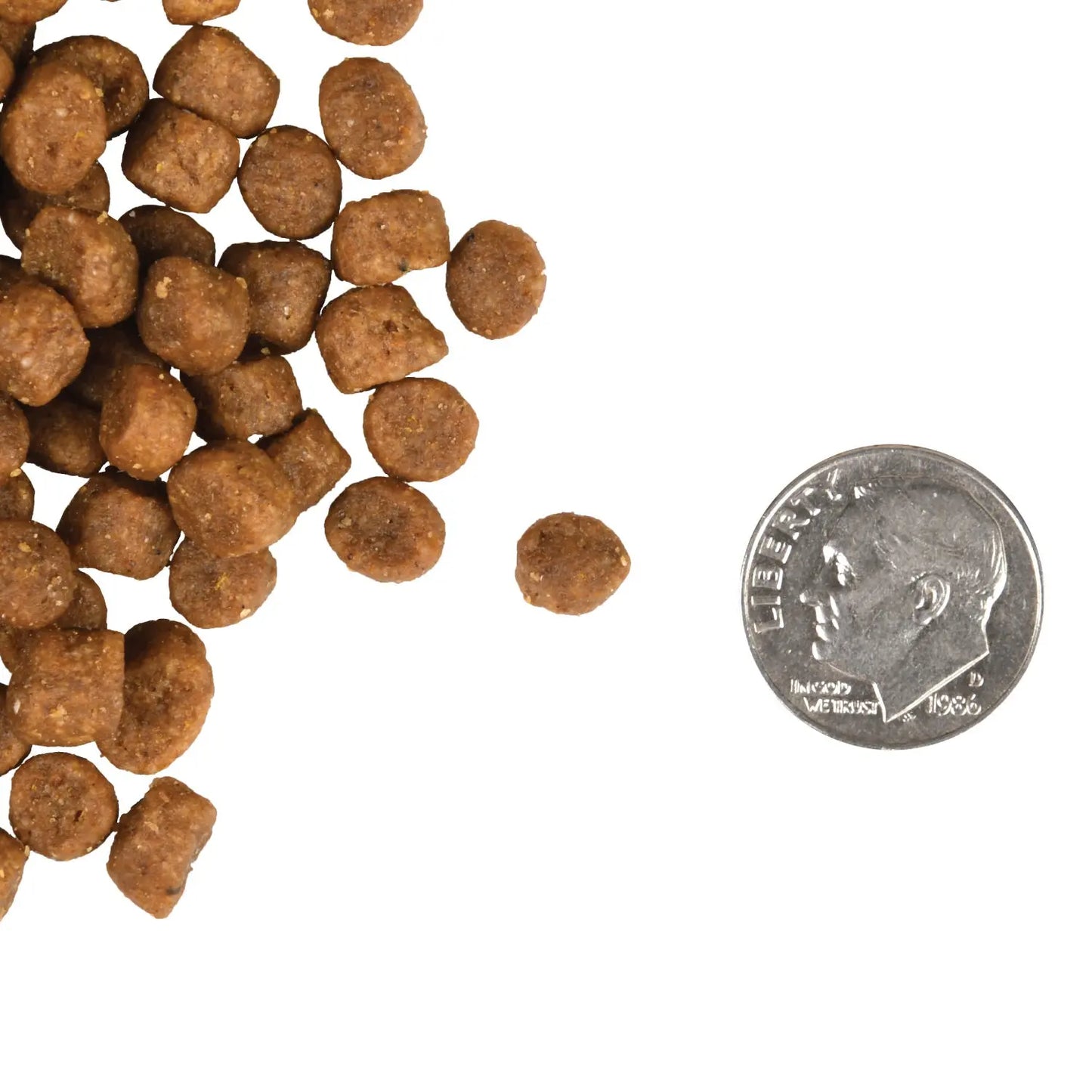 Fromm Kitten Gold Food for Cats Fromm