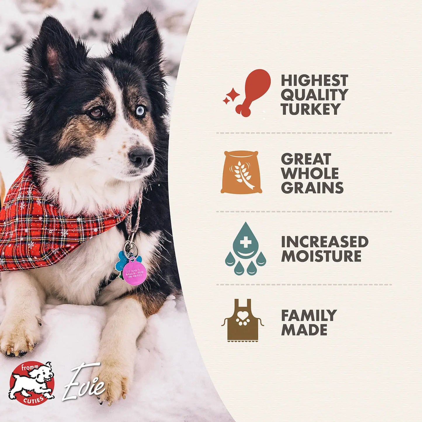 Fromm Pate Turkey Dog Food Wet 12 / 12.2 oz Fromm