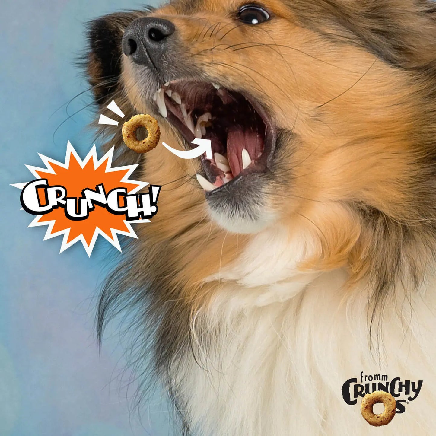 Fromm Peanut Butter Jammers Flavor Dog Treats 6 oz Fromm