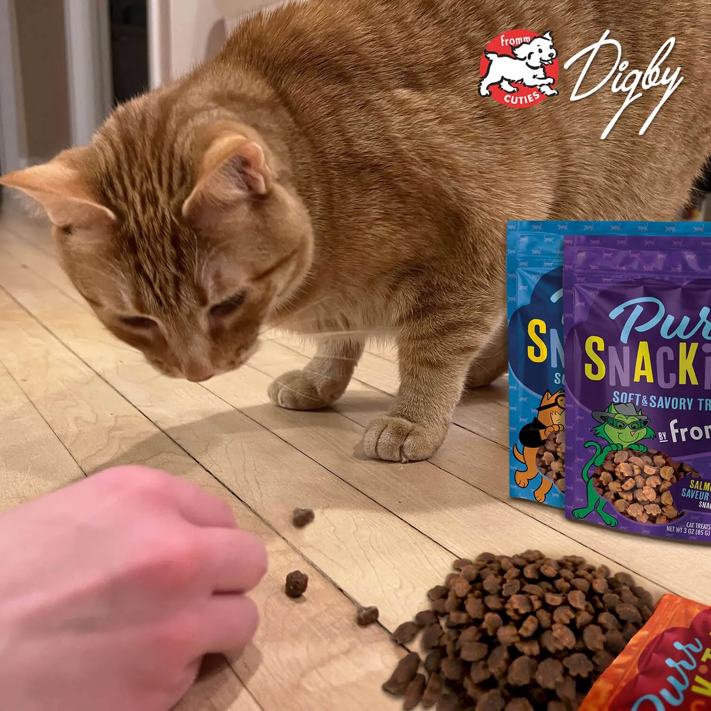 Fromm PurrSnacKitty Salmon Flavor SnacKitties Treats 3 oz Fromm