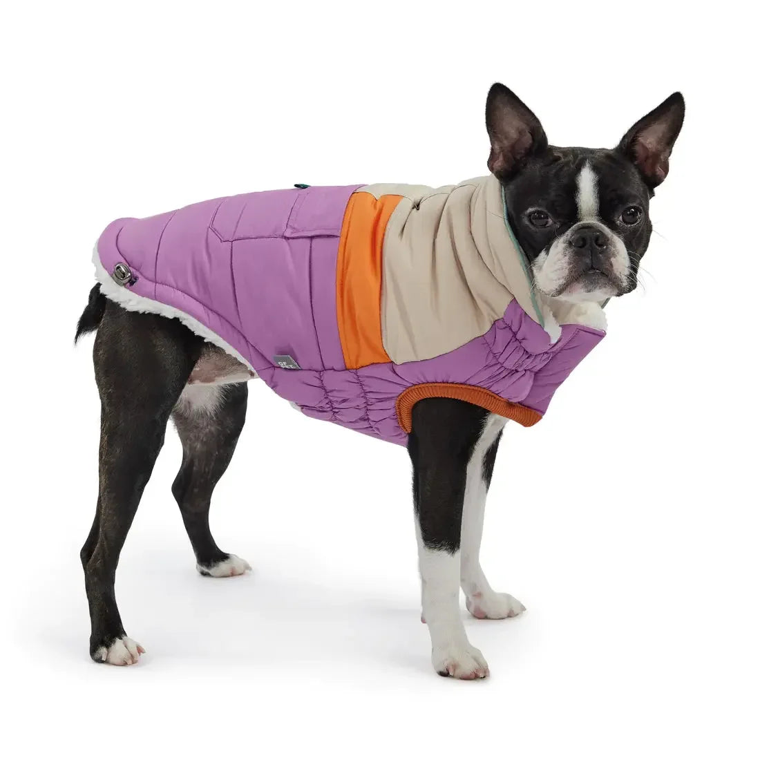 GF Pet Camplife Dog Puffer Jacket GF Pet
