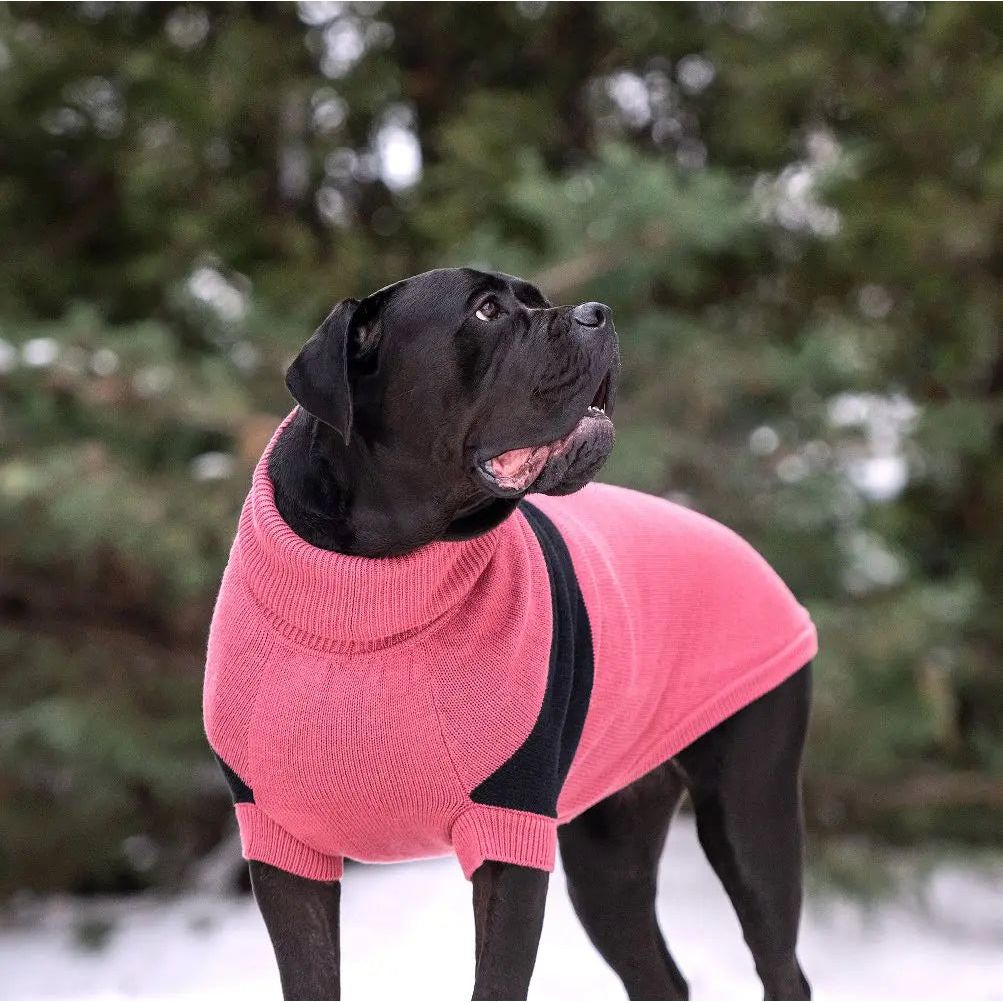 GF Pet Catalyst Dog Sweater GF Pet