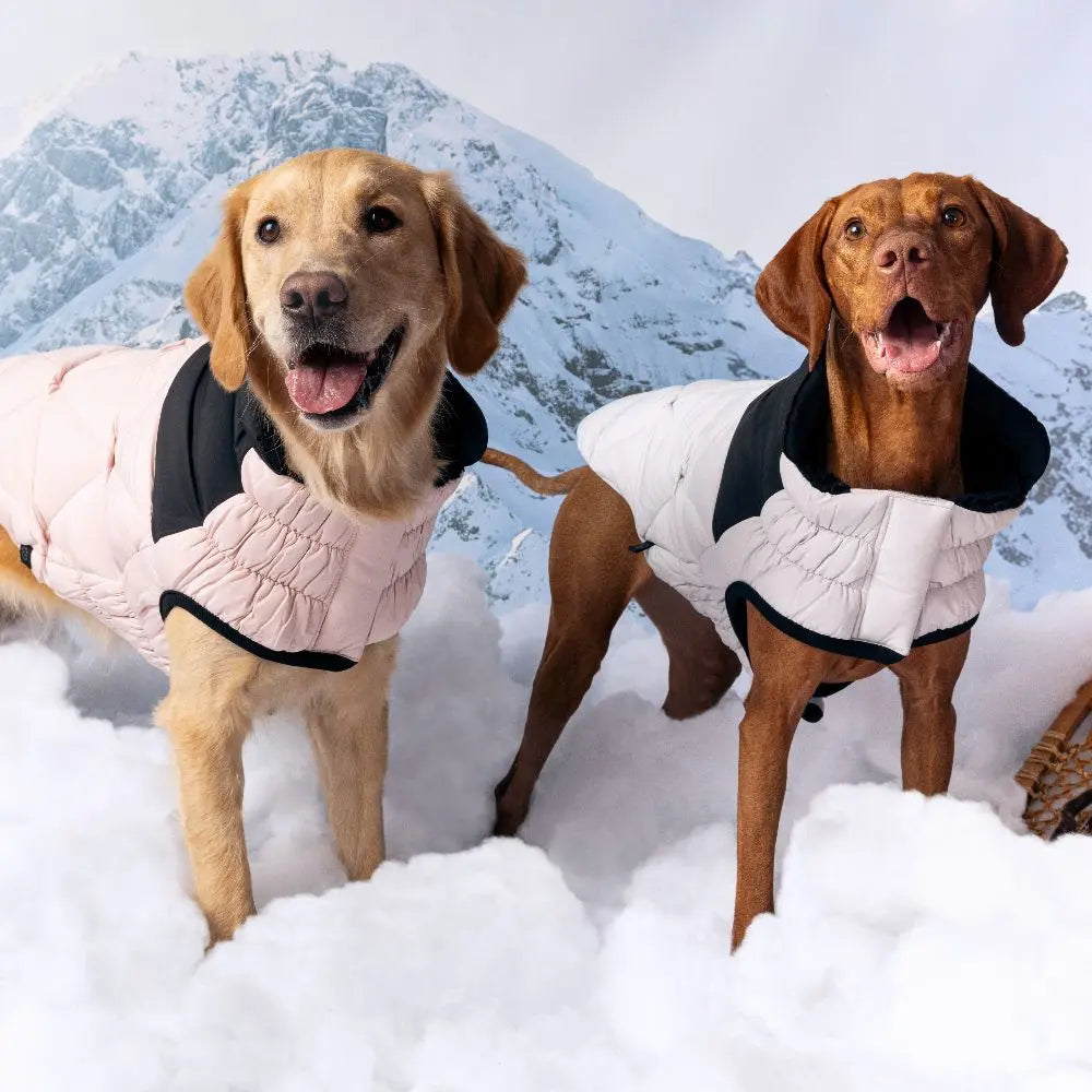 GF Pet Diamond Dog Puffer Jacket GF Pet