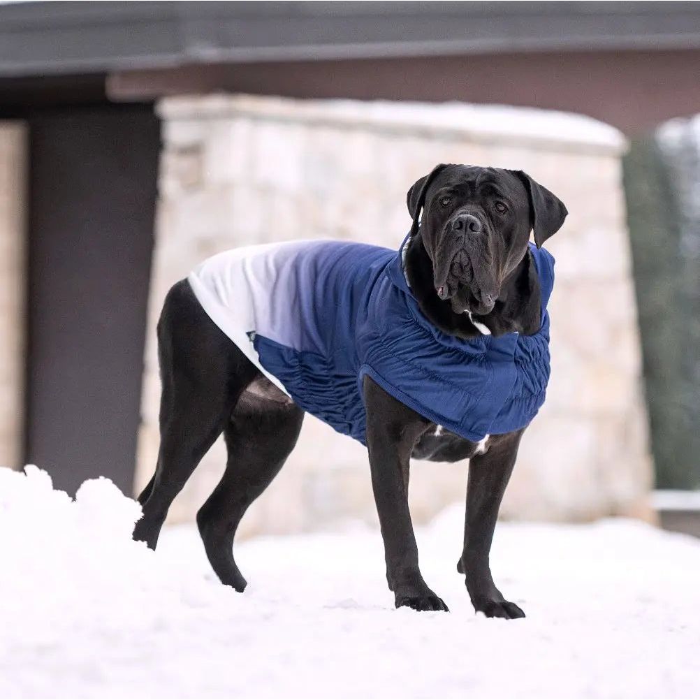 GF Pet Good Vibes Dog Hoodie GF Pet