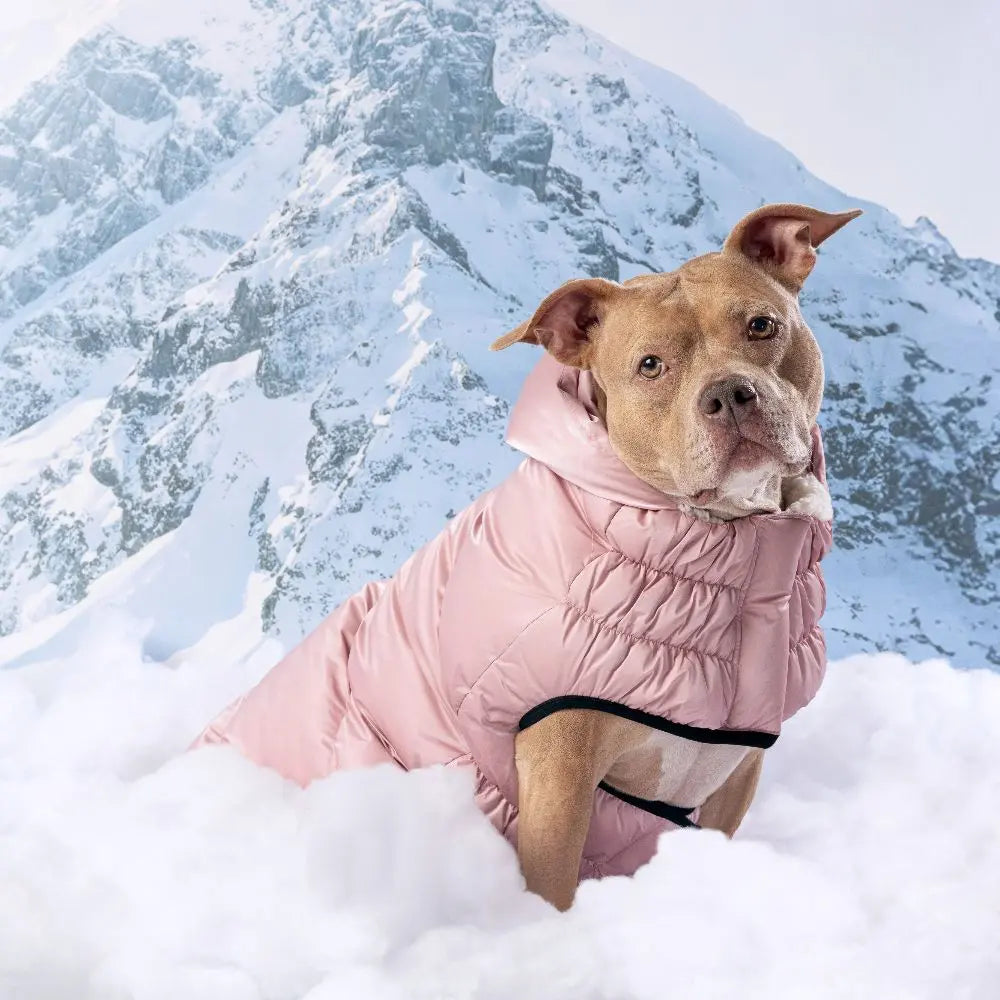 GF Pet Lunar Glow Dog Parka GF Pet