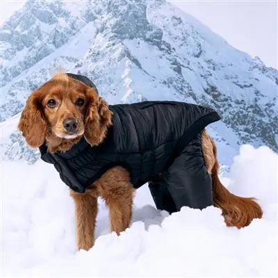 GF Pet Odyssey Dog Snowsuit GF Pet