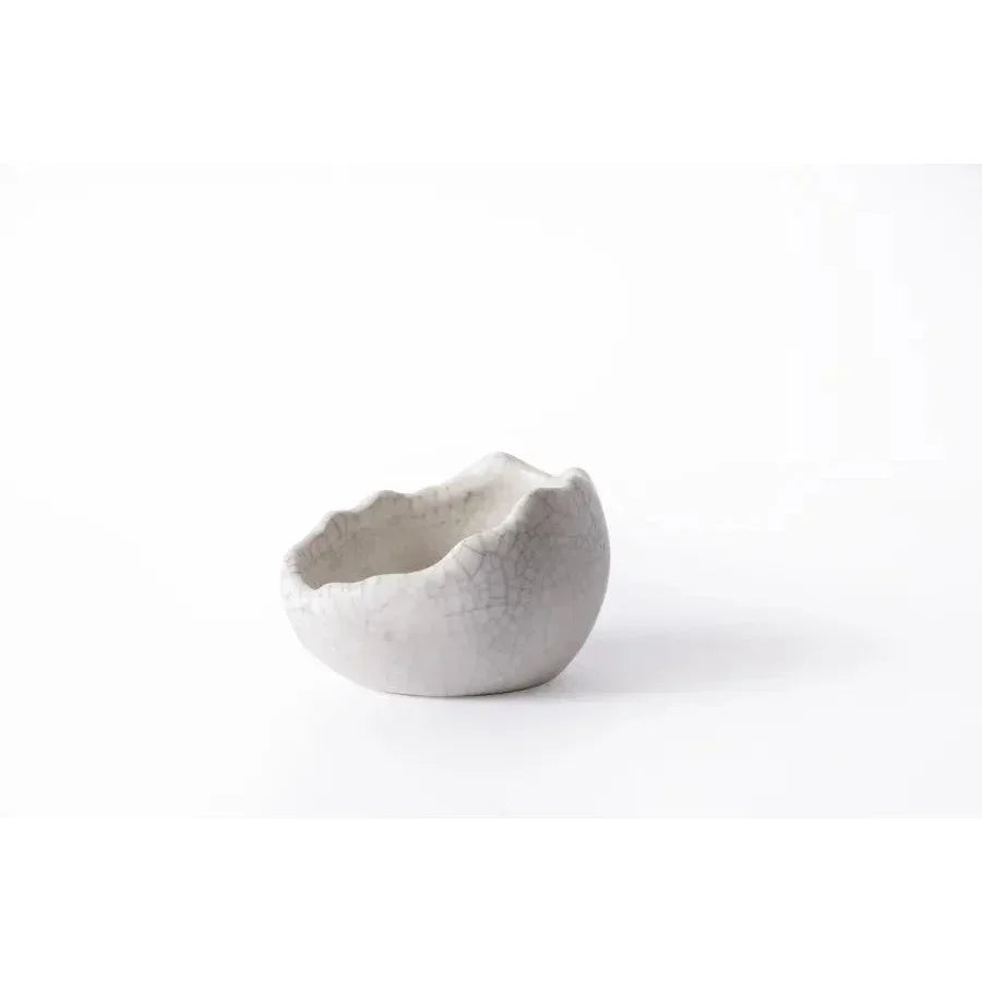 Galapagos Ceramic Egg Dish for Terrarium Galapagos