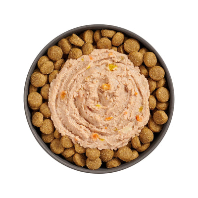 Go! Solutions Booster Digestive Health Chicken & Duck Pate Wet Dog Food 24ea/2.8 oz Petcurean Pet Foods