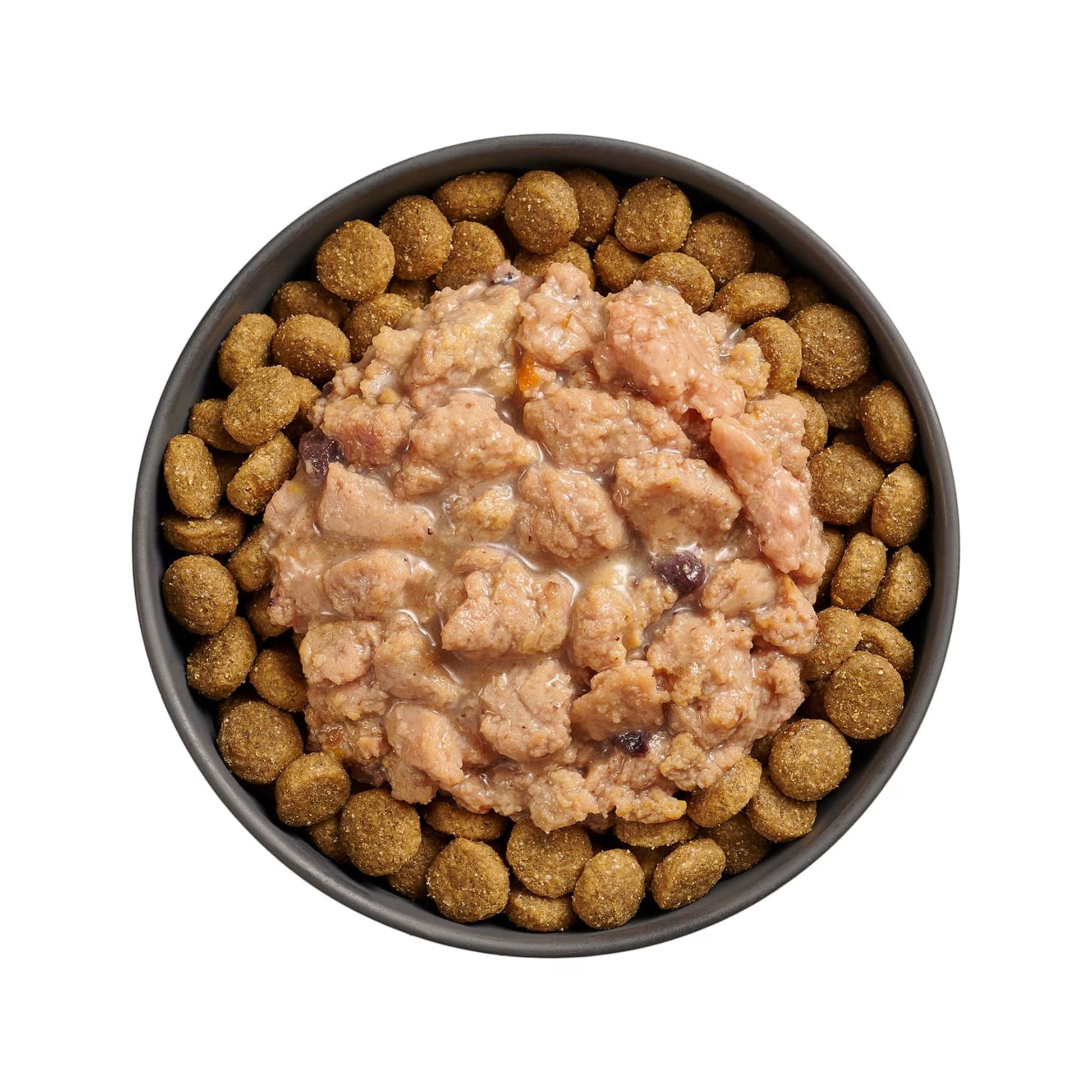 Go! Solutions Booster Immune Health Minced Chicken with Gravy Wet Dog Food 24ea/2.8 oz Petcurean Pet Foods