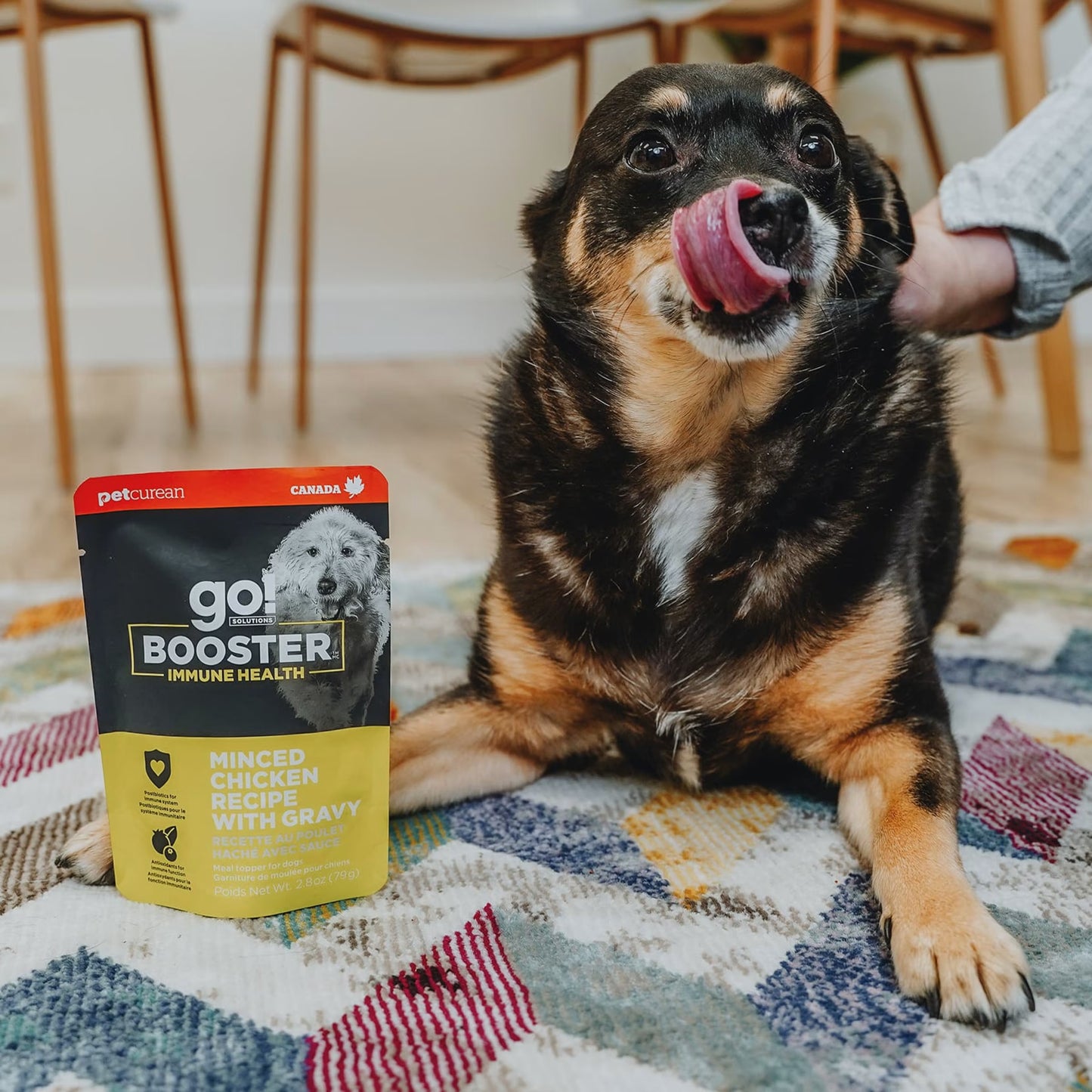 Go! Solutions Booster Immune Health Minced Chicken with Gravy Wet Dog Food 24ea/2.8 oz Petcurean Pet Foods