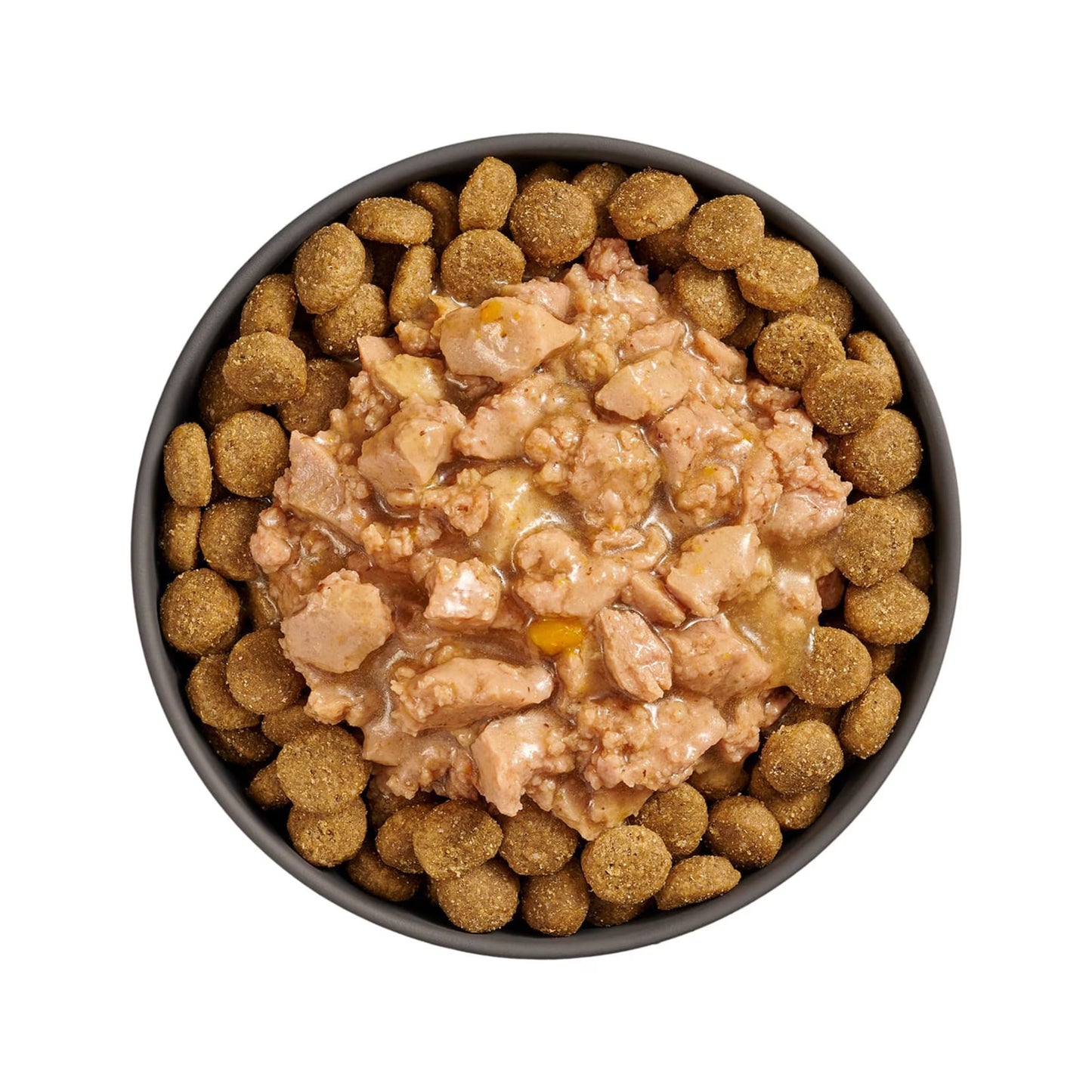 Go! Solutions Booster Joint Care Minced Chicken with Gravy Wet Dog Food 24ea/2.8 oz Petcurean Pet Foods