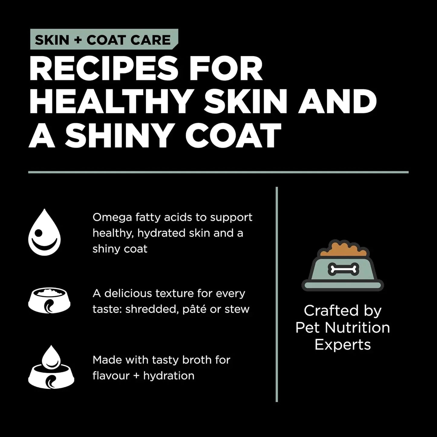 Infographic titled Recipes for Healthy Skin and a Shiny Coat shows benefits of Go! Solutions Skin + Coat Care Turkey & Salmon Pate Dog Food by Petcurean: omega fatty acids, tasty broth, varied textures, and crafted by pet nutrition experts. Includes icons and bowl graphic.