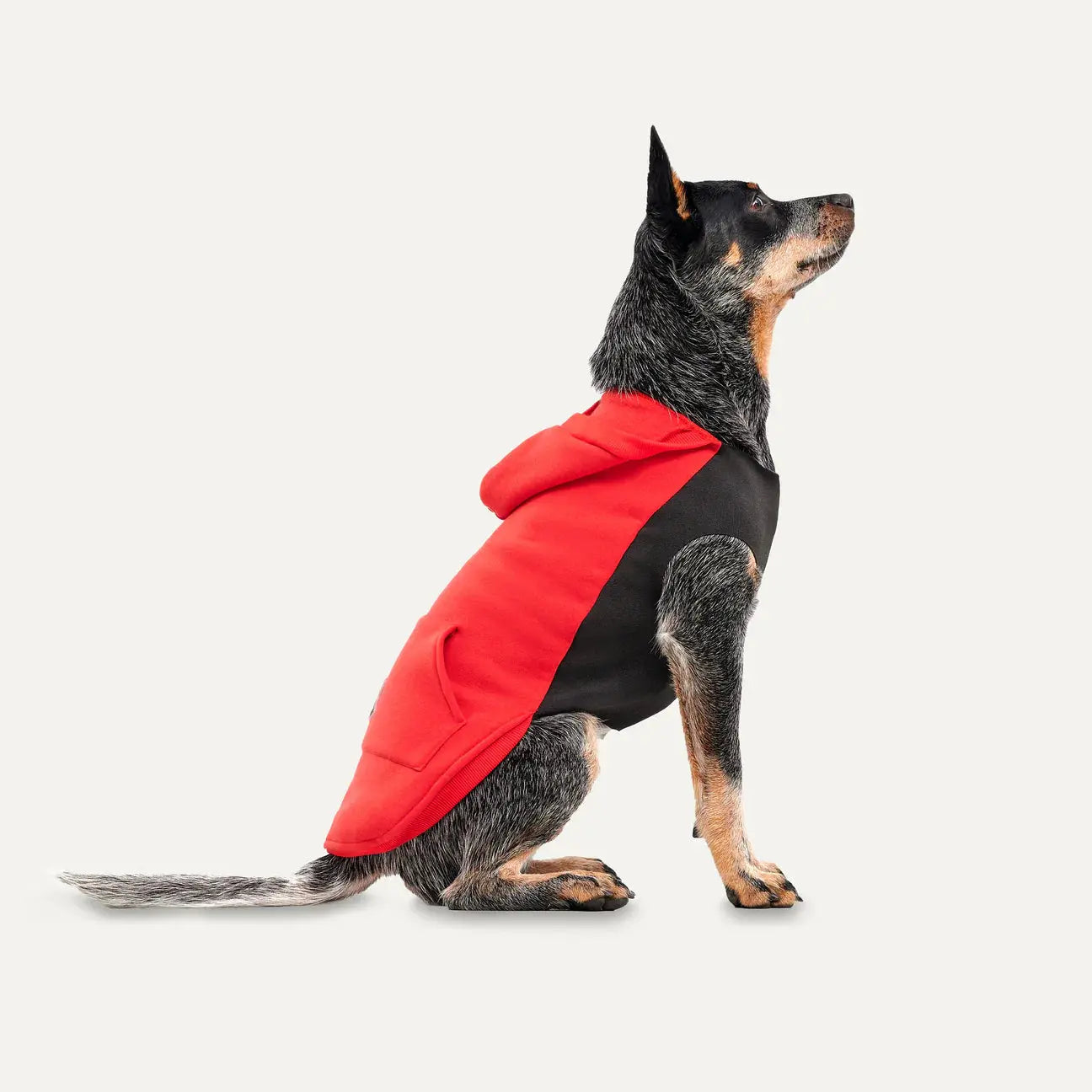 Goo-eez Kangaroo Fleece Dog Hoodie Goo-Eez