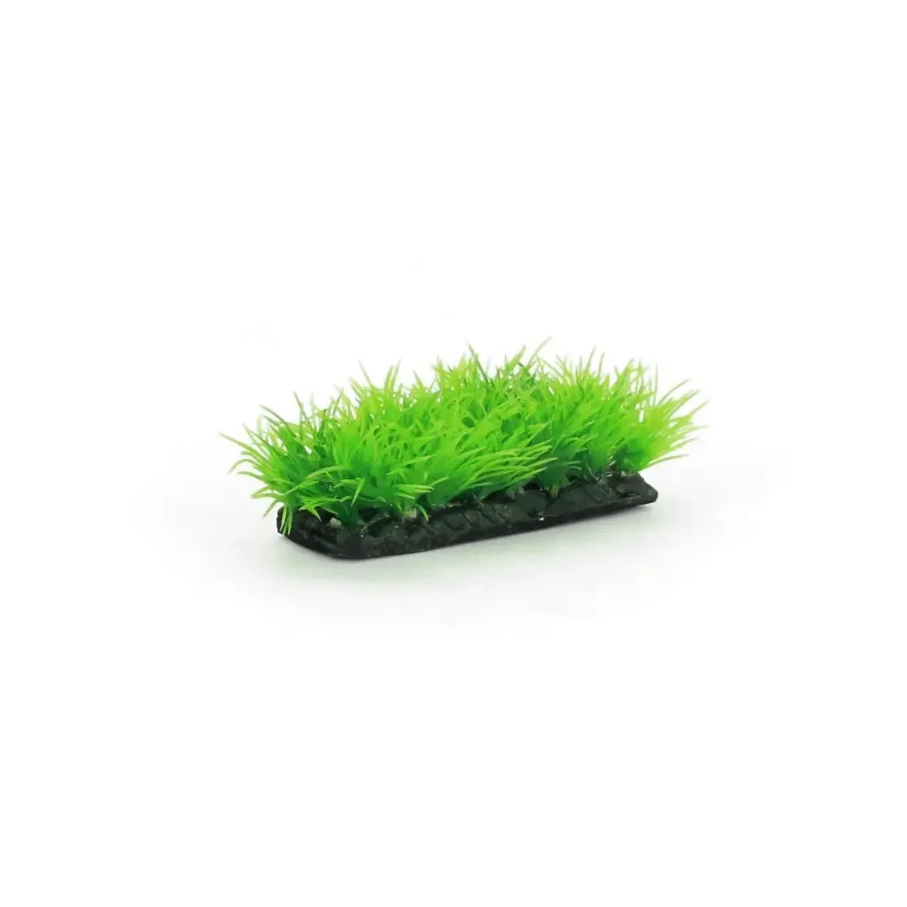 Grass stone – 3cm Antcube
