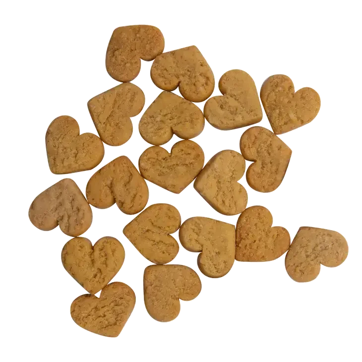 Health Extension Impawfect Pumpkin & Ginger Soft & Chewy DogTreats for Digestive Support 4.5oz Health Extension