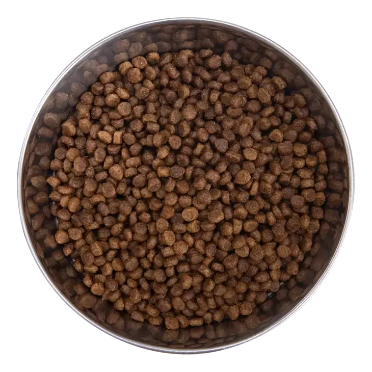 Health Extension Little Bites Lite Chicken & Brown Rice Recipe Dry Dog Food Health Extension