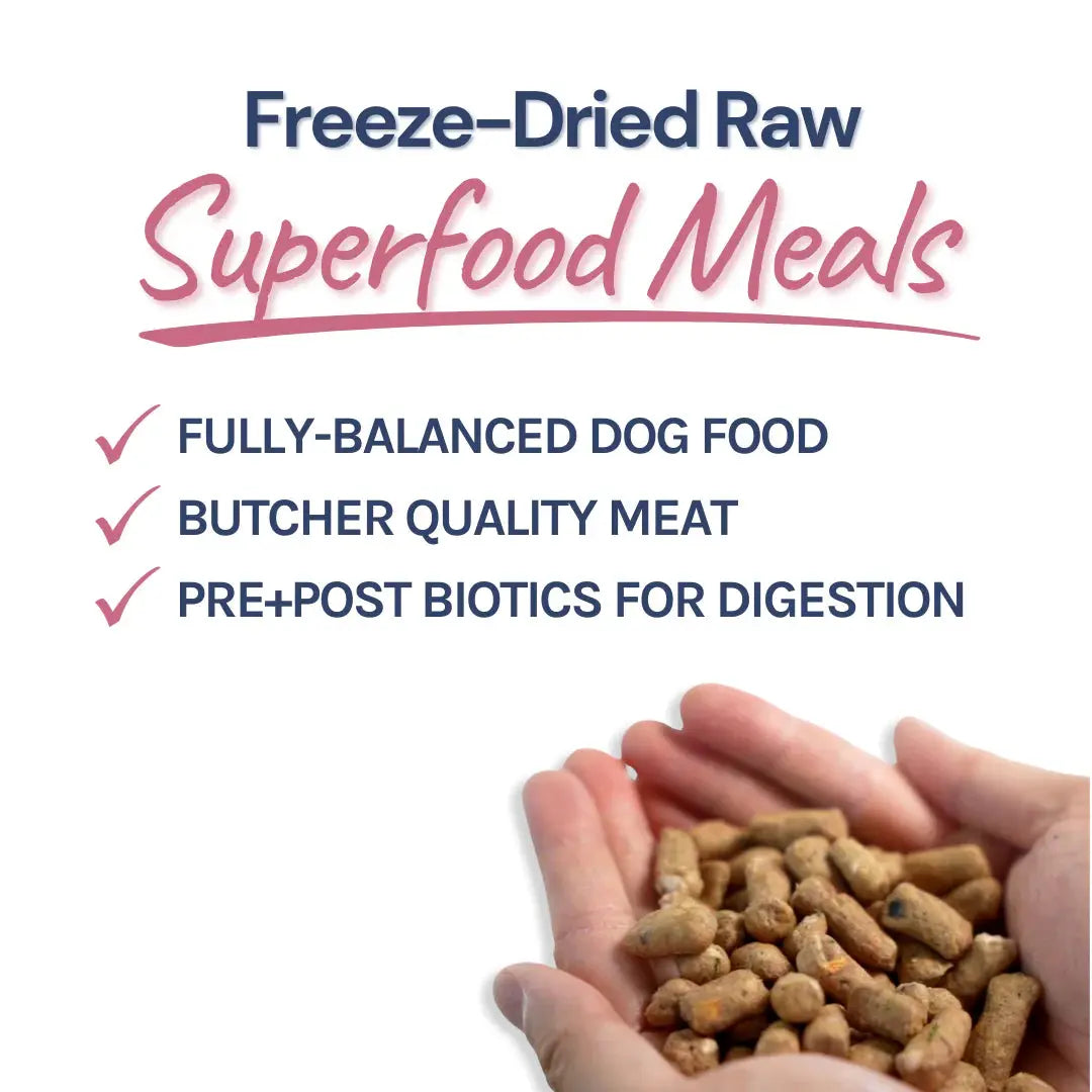 Healthybud Lamb & Salmon Meal Bites Freeze-Dried Raw Dog Food 14oz Healthybud