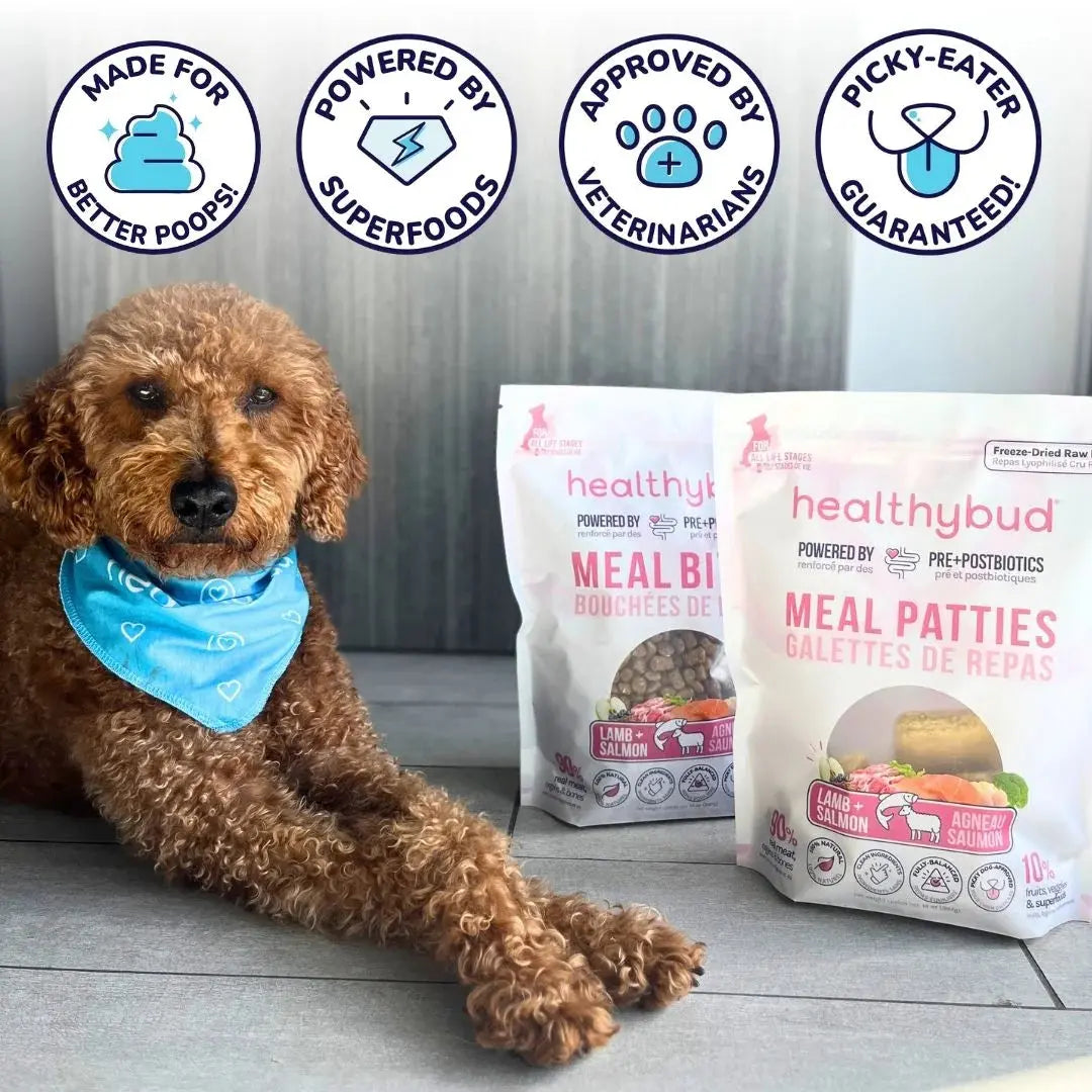 Healthybud Lamb & Salmon Meal Patties Freeze-Dried Raw Dog Food 14oz Healthybud