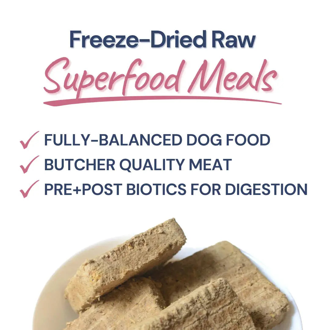 Healthybud Lamb & Salmon Meal Patties Freeze-Dried Raw Dog Food 14oz Healthybud