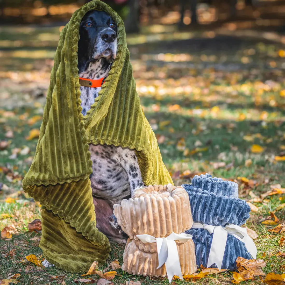 HuggleHounds Scout Blankie Double-Sided Plush Dog Blanket HuggleHounds