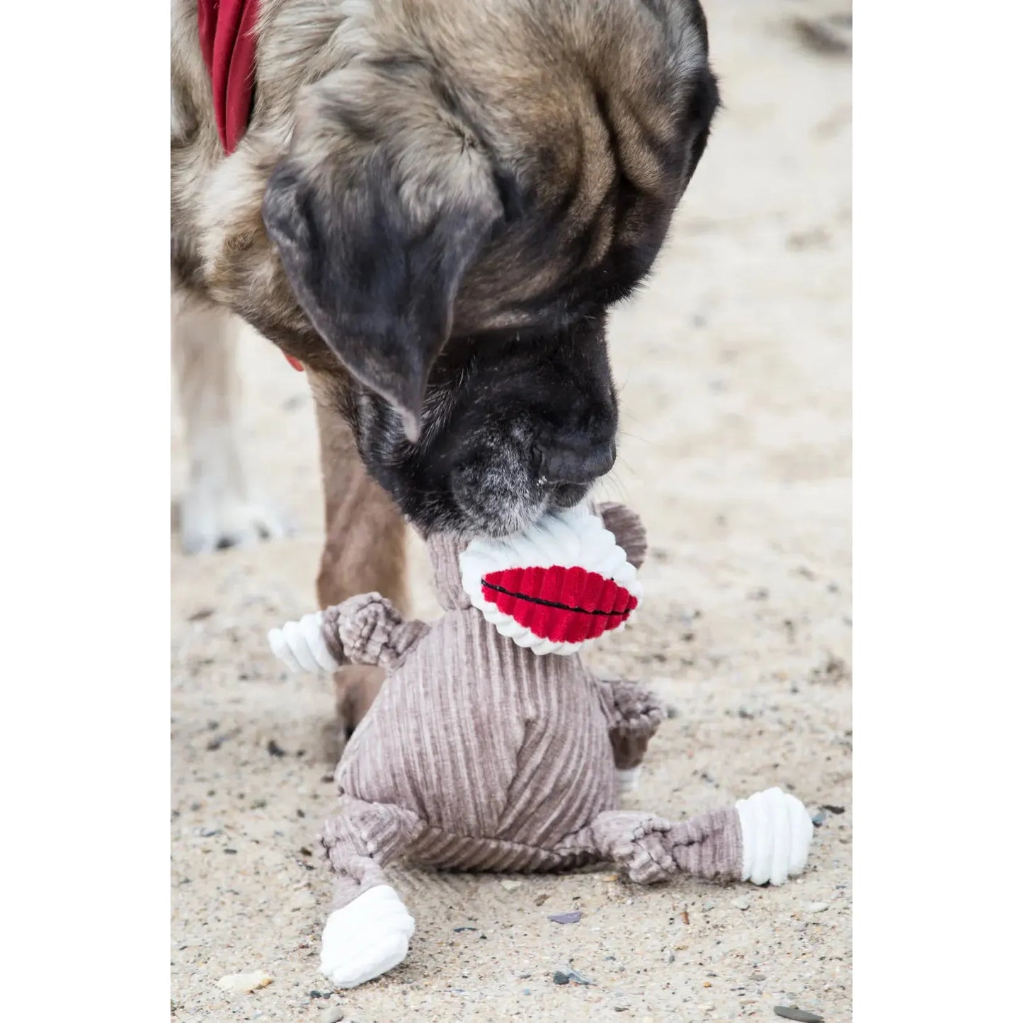 HuggleHounds Sock Monkey Durable Plush Corduroy Knottie Squeaky Dog Toy Talis Us