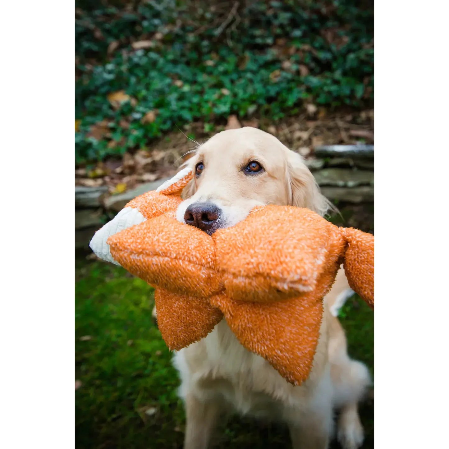 HuggleHounds Squooshies Durable Plush Squeaky Dog Toy HuggleHounds