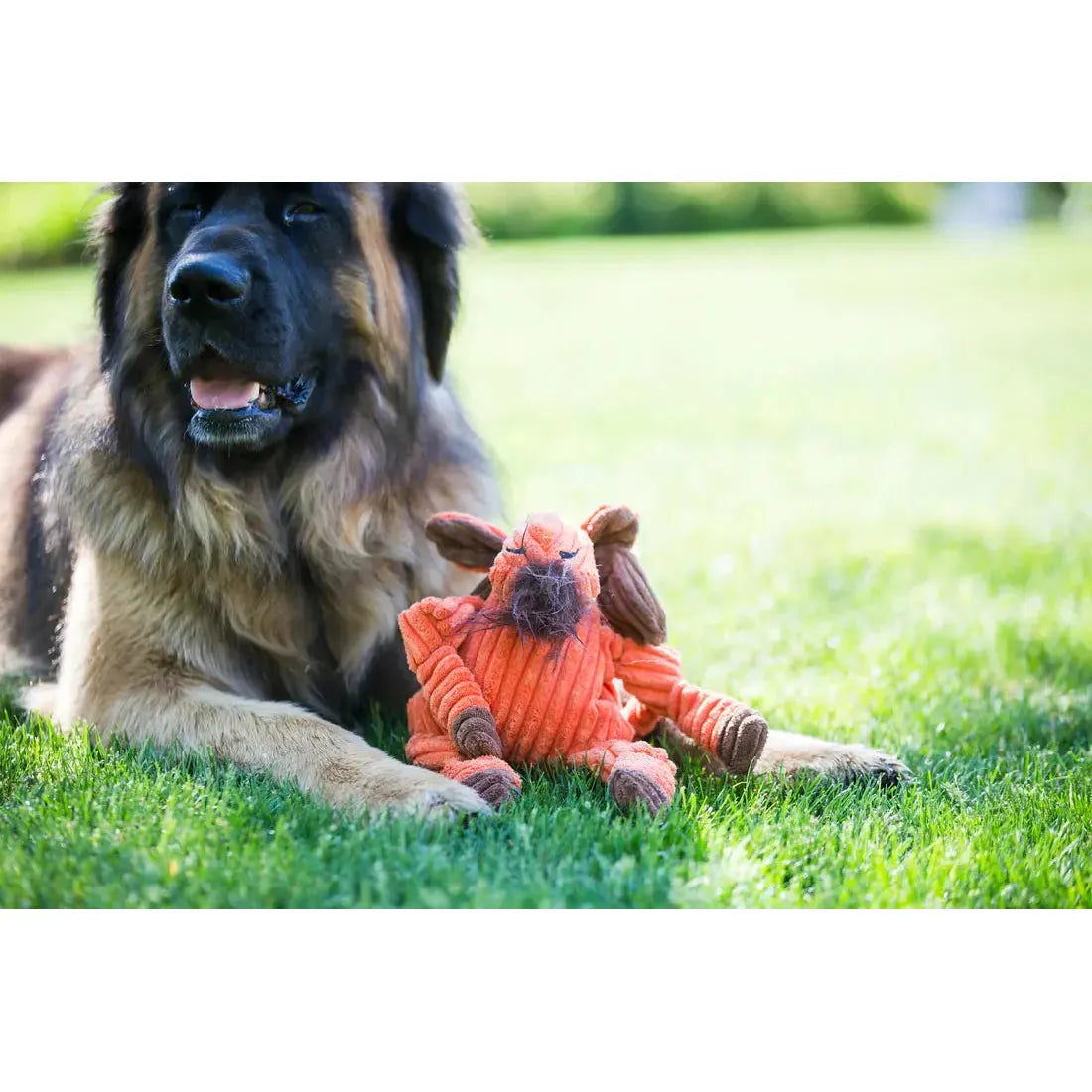A large dog lounges on green grass, front paws around a HuggleHounds Woodlands Durable Plush Corduroy Knottie Moose Squeaky Dog Toy, enjoying a sunny day outdoors.