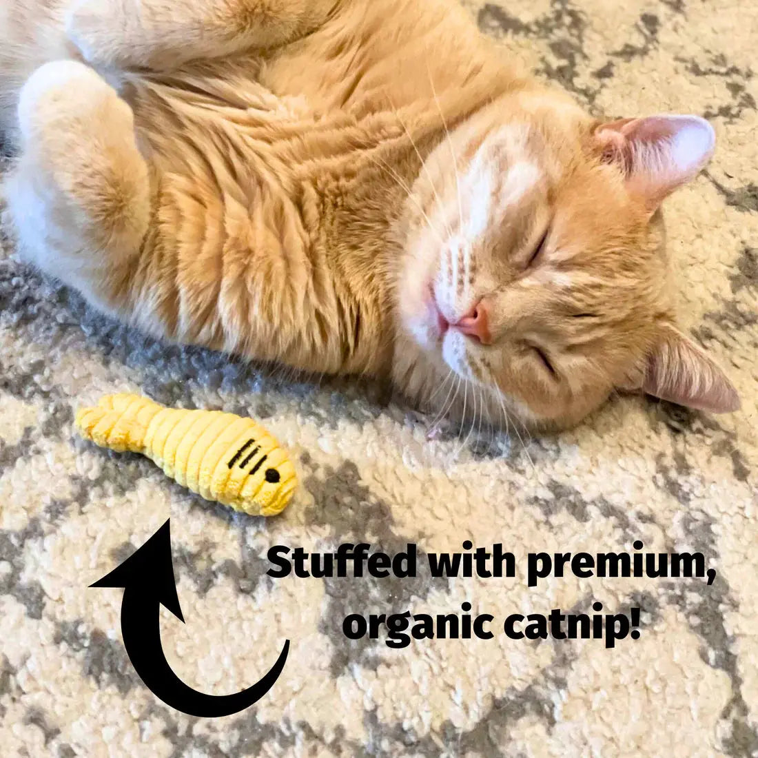 HuggleKats Multi-Textured Realistic Prey Toys for Cats HuggleHounds