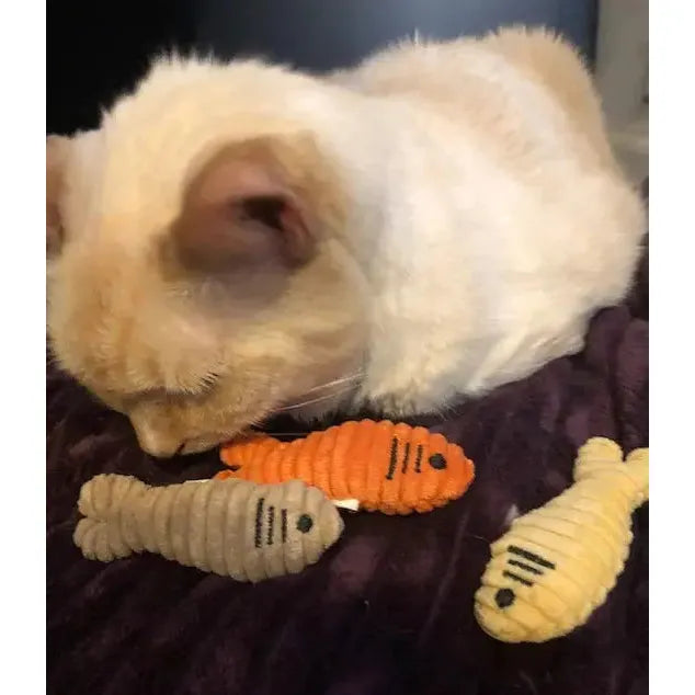 HuggleKats Multi-Textured Realistic Prey Toys for Cats HuggleHounds