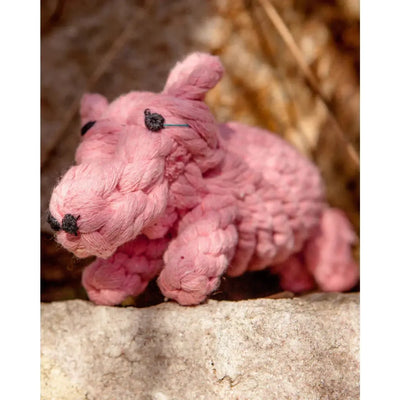 Jax & Bones Penny the Pig Rope Dog Toy Jax & Bones