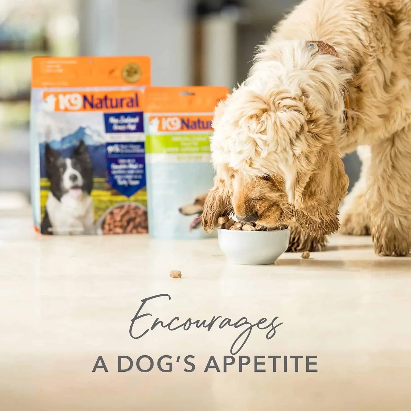 A tan and white dog eats from a bowl, with two bags of K9 Natural Beef Green Tripe Booster Digestive Supplement for Dogs in the background. Text on the image reads: Encourages a dogs appetite.