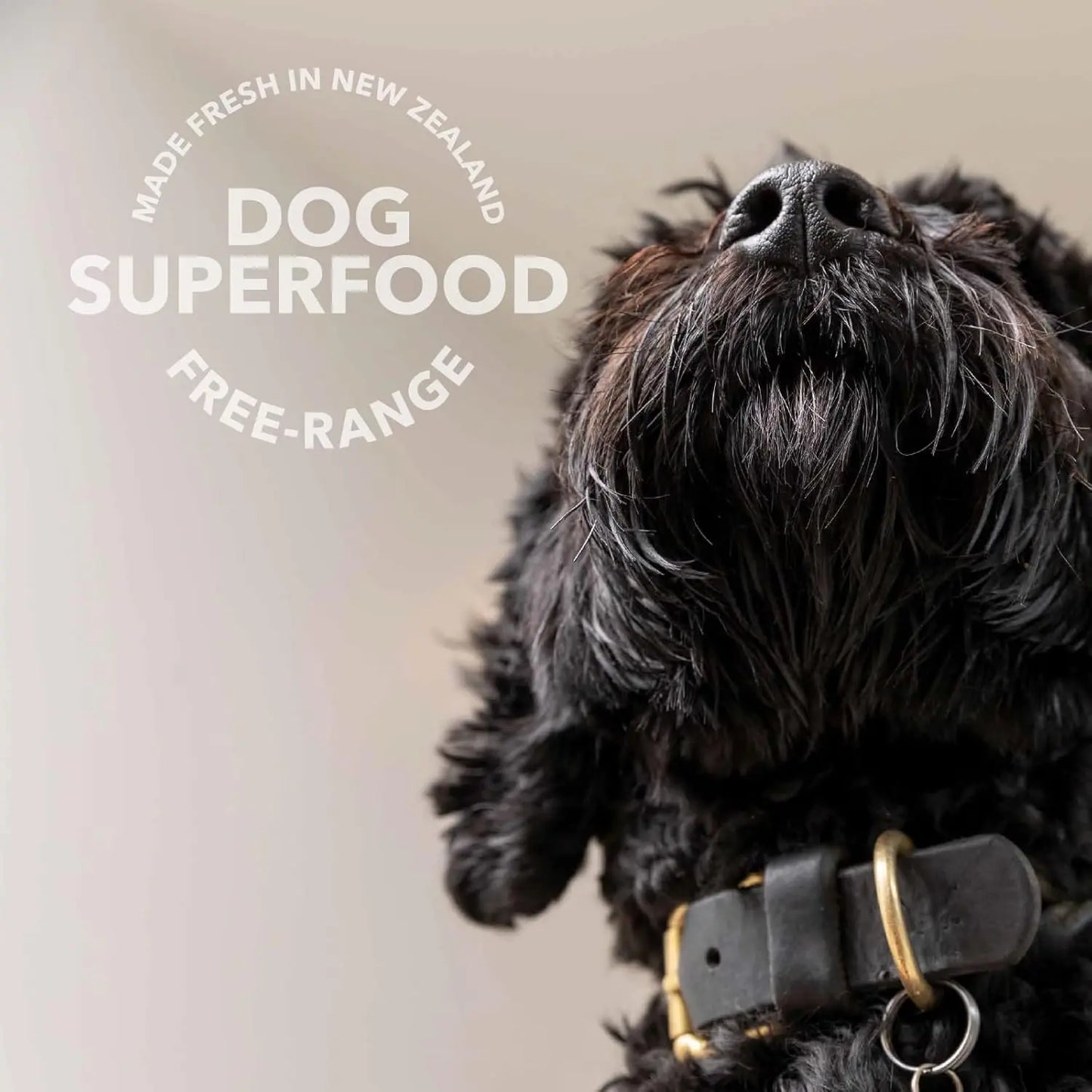 Close-up of a black dog in a collar, looking upward. Text: “K9 Natural Beef Green Tripe Booster Digestive Supplement for Dogs. Made fresh in New Zealand. Grain-free freeze-dried dog superfood.”.