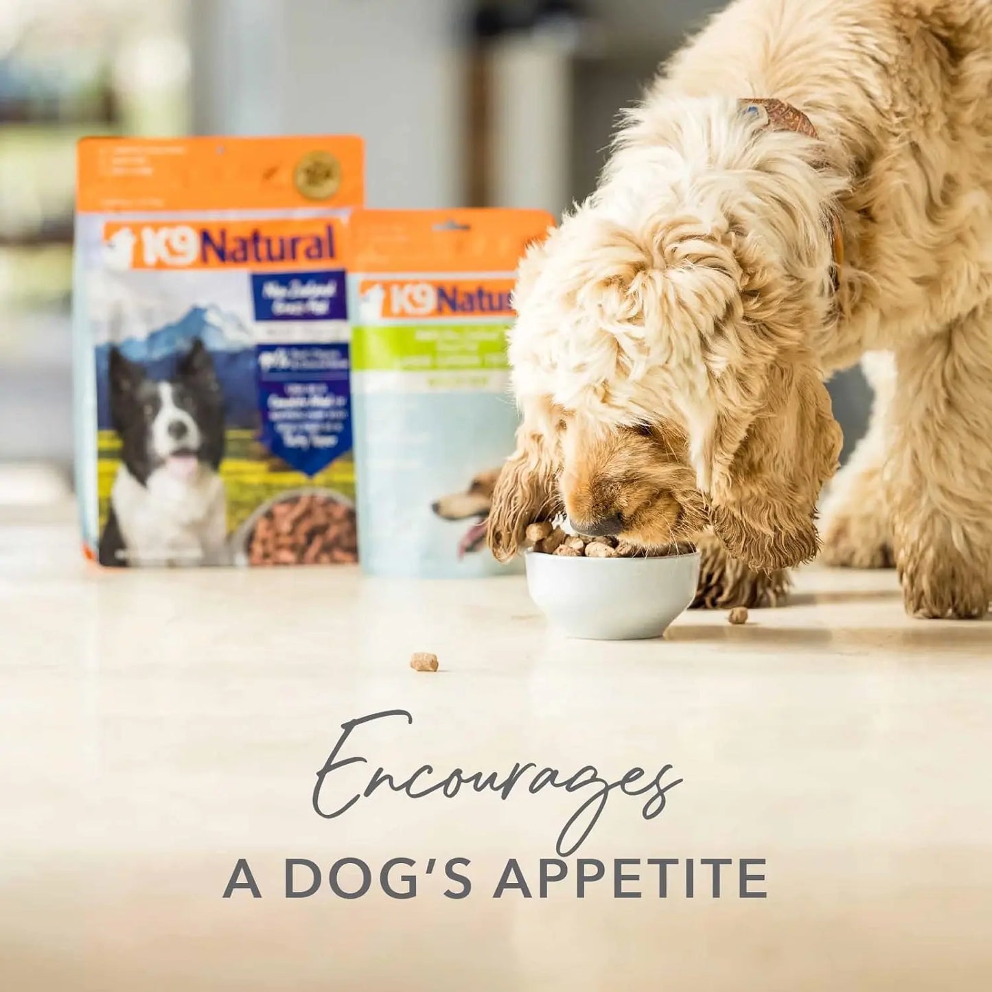 A light brown dog eats from a small bowl on the floor, with two bags of K9 Natural Lamb Green Tripe Booster Digestive Supplement for Dogs in the background. Text reads, “Encourages a dogs appetite.”.