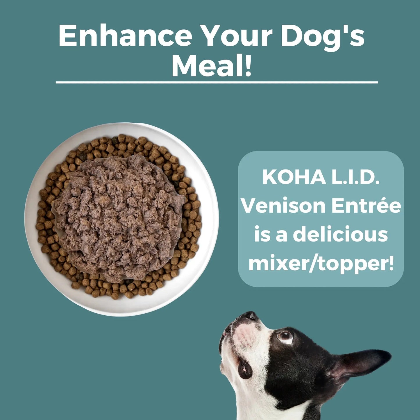 KOHA Limited Ingredient Diet Venison Entrée Wet Dog Food 12ea/13 oz KOHA