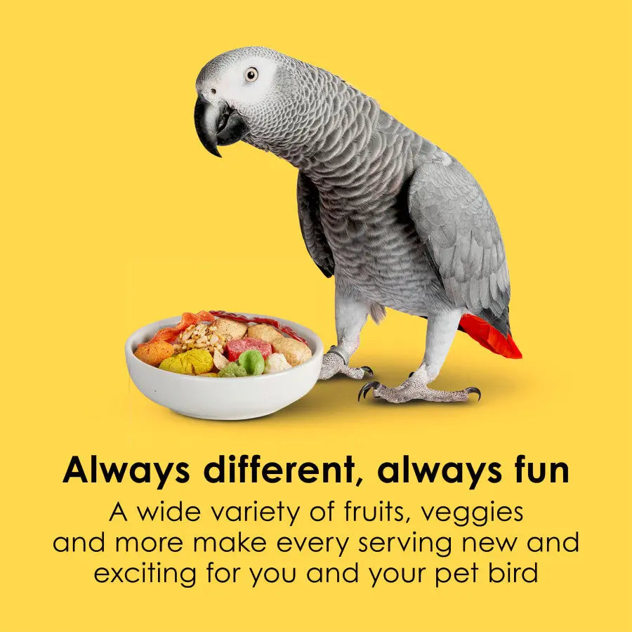 Kaytee Fiesta Fiesta Parrot Food Kaytee®