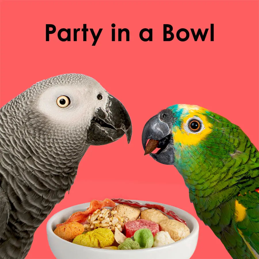 Kaytee Fiesta Fiesta Parrot Food Kaytee®