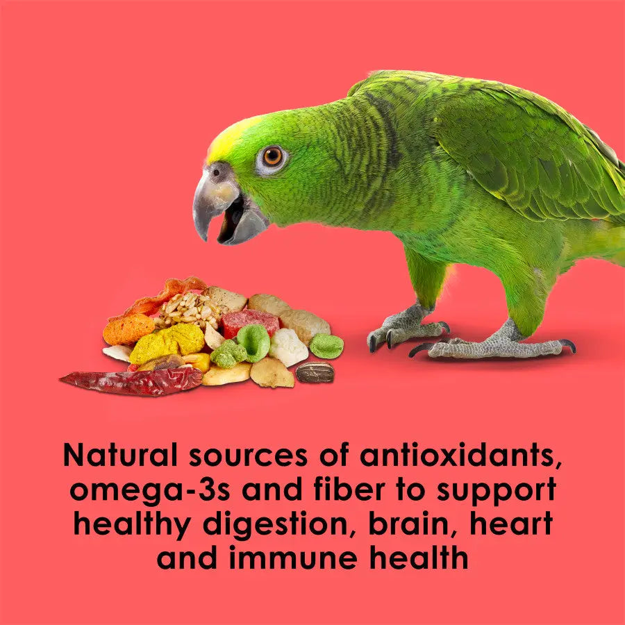 Kaytee Fiesta Fiesta Parrot Food Kaytee®