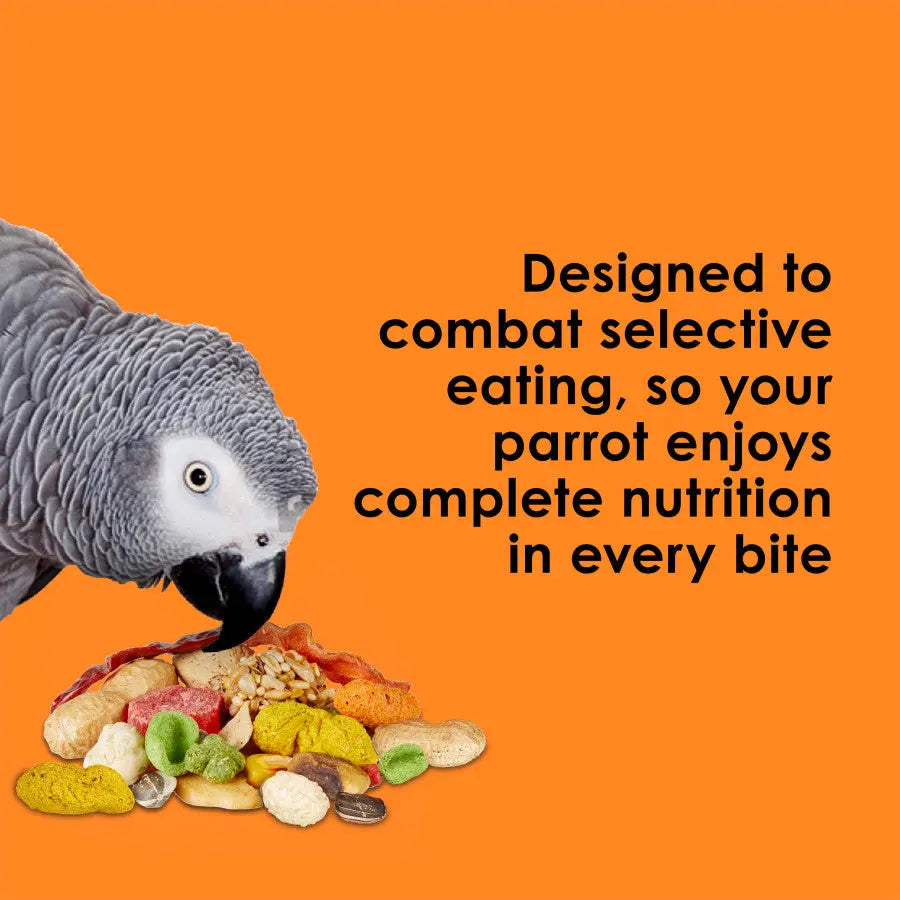 Kaytee Fiesta Fiesta Parrot Food Kaytee®