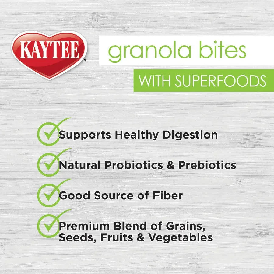 Kaytee Granola BItes Berry and Flax Bird Treats Kaytee