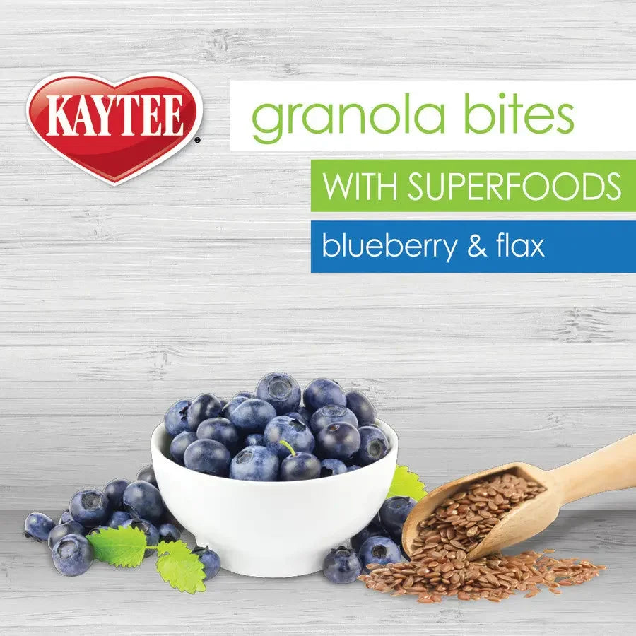 Kaytee Granola BItes Berry and Flax Bird Treats Kaytee