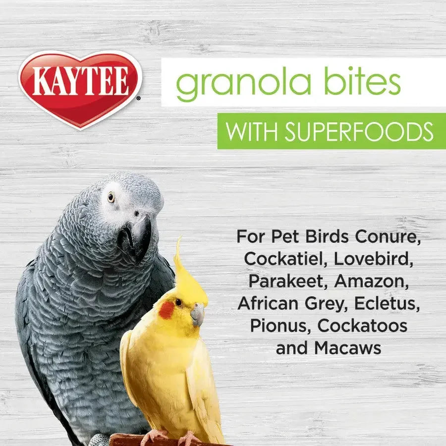 Kaytee Granola BItes Berry and Flax Bird Treats Kaytee