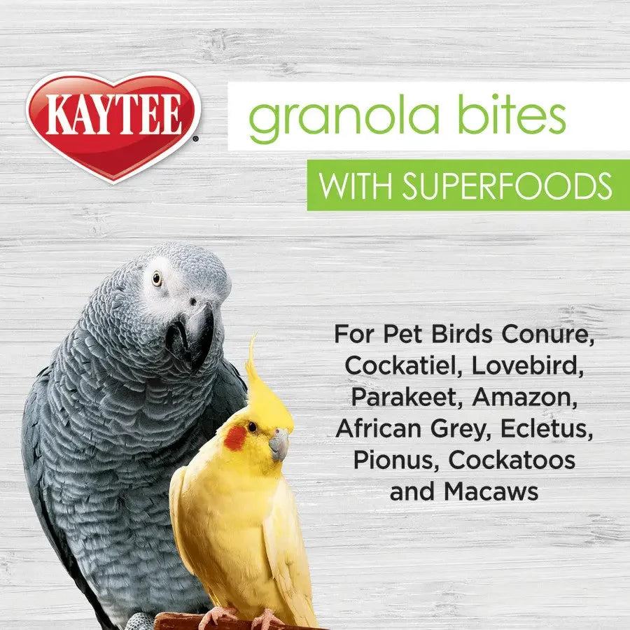 Kaytee Granola BItes Berry and Flax Bird Treats Kaytee