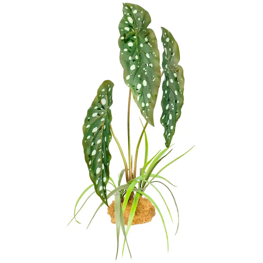 Komodo Standing Plant Reptile Terrarium Decor Bearded Dragon Tank Accessories 18 in Komodo
